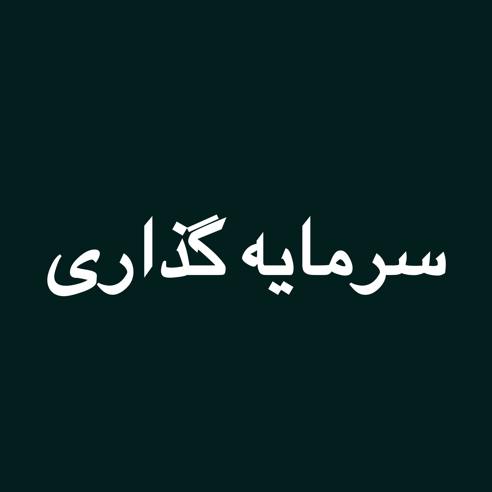 سرمایه گذاری
